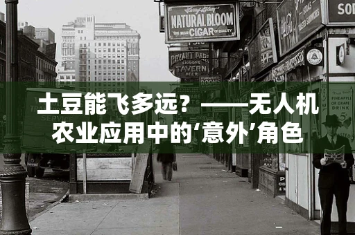 土豆能飞多远？——无人机农业应用中的‘意外’角色