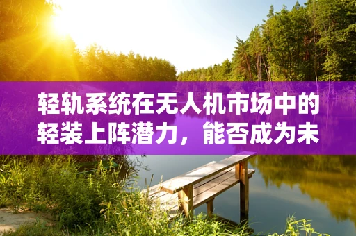 轻轨系统在无人机市场中的轻装上阵潜力，能否成为未来规模扩张的关键？