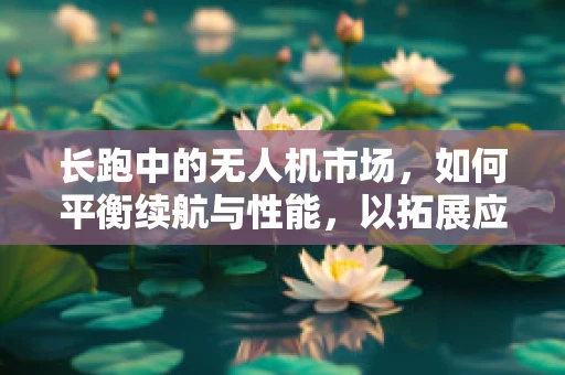 长跑中的无人机市场，如何平衡续航与性能，以拓展应用领域？