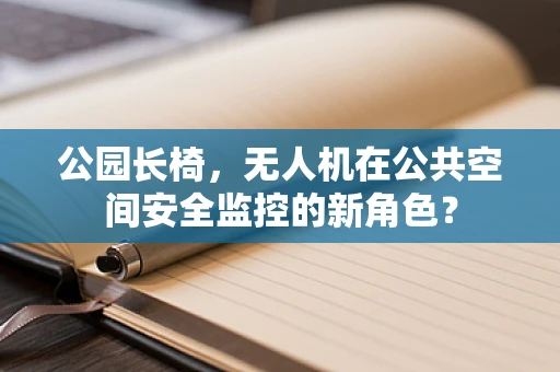 公园长椅，无人机在公共空间安全监控的新角色？