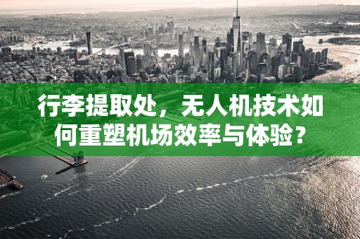 行李提取处，无人机技术如何重塑机场效率与体验？