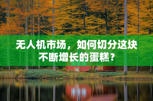 无人机市场，如何切分这块不断增长的蛋糕？