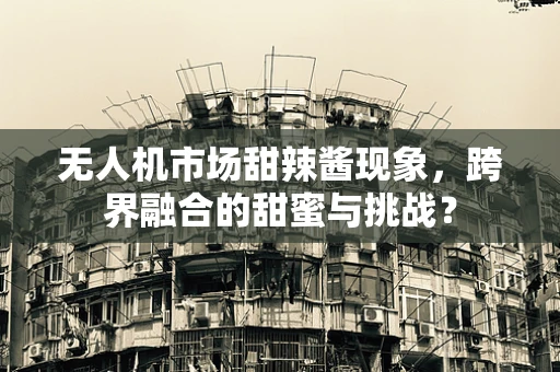 无人机市场甜辣酱现象，跨界融合的甜蜜与挑战？