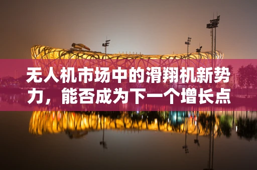 无人机市场中的滑翔机新势力，能否成为下一个增长点？