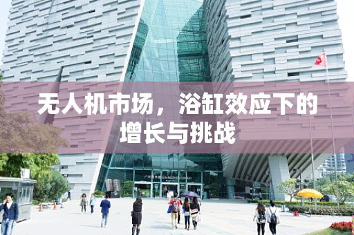 无人机市场，浴缸效应下的增长与挑战