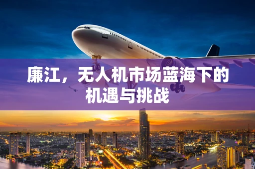 廉江，无人机市场蓝海下的机遇与挑战