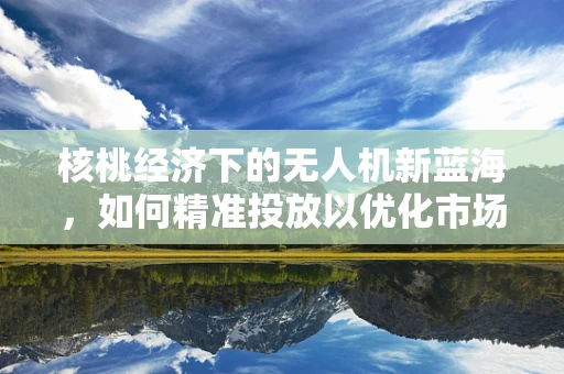 核桃经济下的无人机新蓝海，如何精准投放以优化市场？