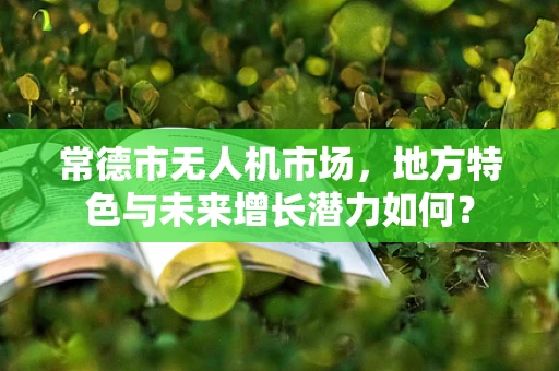 常德市无人机市场，地方特色与未来增长潜力如何？