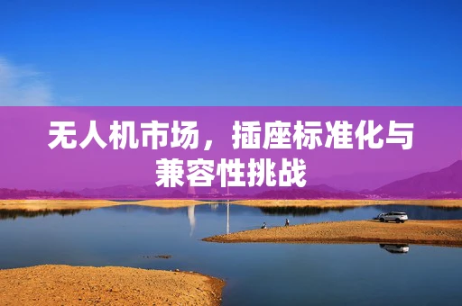 无人机市场，插座标准化与兼容性挑战