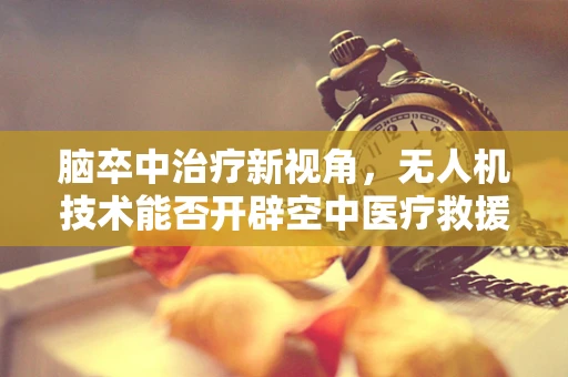 脑卒中治疗新视角，无人机技术能否开辟空中医疗救援新纪元？