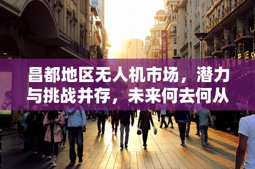 昌都地区无人机市场，潜力与挑战并存，未来何去何从？