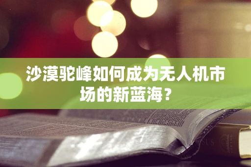 沙漠驼峰如何成为无人机市场的新蓝海？