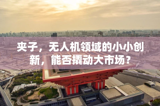 夹子，无人机领域的小小创新，能否撬动大市场？