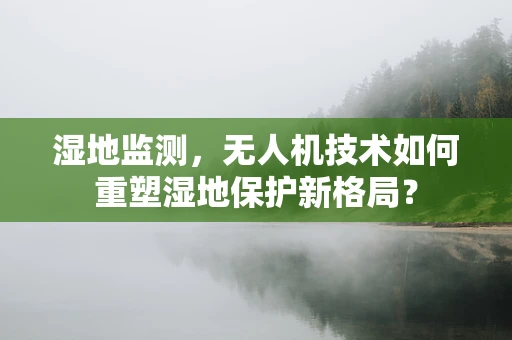 湿地监测，无人机技术如何重塑湿地保护新格局？