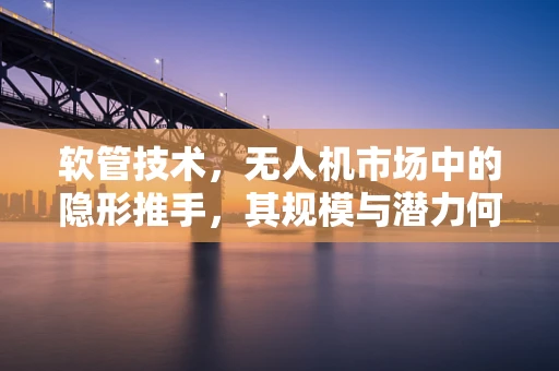 软管技术，无人机市场中的隐形推手，其规模与潜力何在？