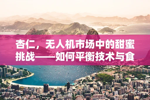 杏仁，无人机市场中的甜蜜挑战——如何平衡技术与食材的跨界融合？