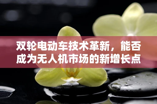 双轮电动车技术革新，能否成为无人机市场的新增长点？