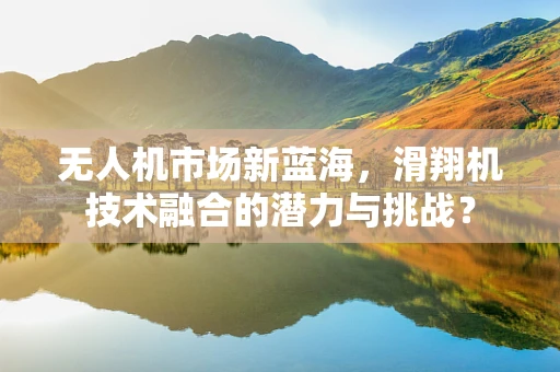 无人机市场新蓝海，滑翔机技术融合的潜力与挑战？