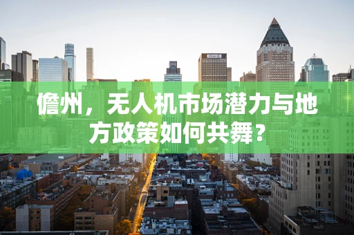 儋州，无人机市场潜力与地方政策如何共舞？