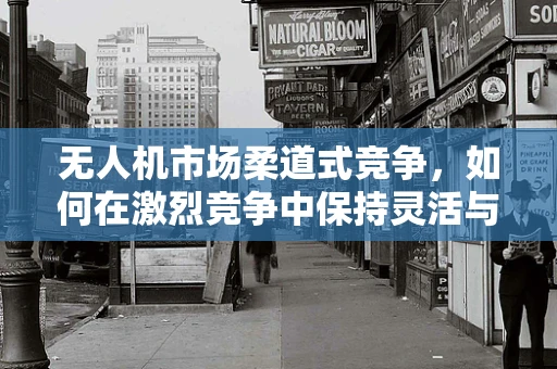 无人机市场柔道式竞争，如何在激烈竞争中保持灵活与韧性？