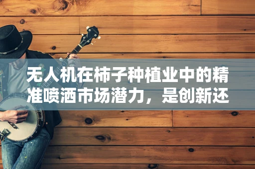 无人机在柿子种植业中的精准喷洒市场潜力，是创新还是过度？