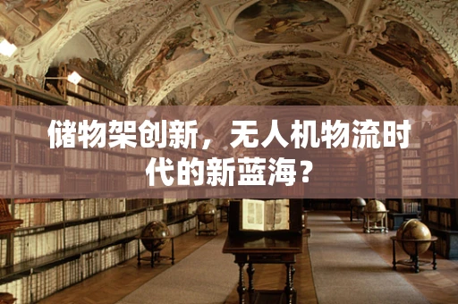 储物架创新，无人机物流时代的新蓝海？