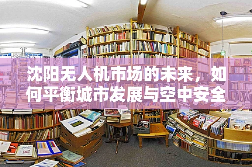 沈阳无人机市场的未来，如何平衡城市发展与空中安全？