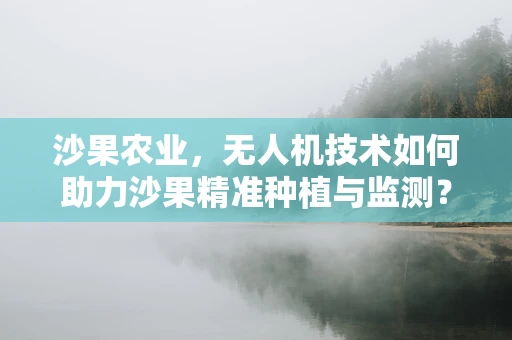 沙果农业，无人机技术如何助力沙果精准种植与监测？