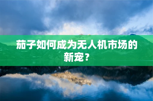 茄子如何成为无人机市场的新宠？