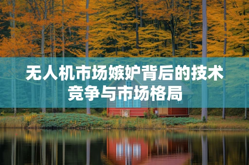 无人机市场嫉妒背后的技术竞争与市场格局