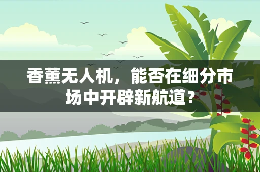 香薰无人机，能否在细分市场中开辟新航道？