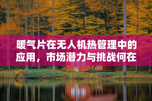 暖气片在无人机热管理中的应用，市场潜力与挑战何在？