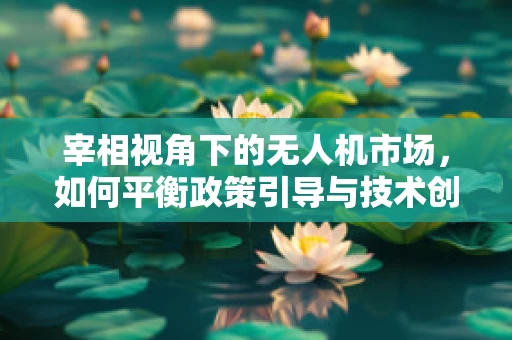 宰相视角下的无人机市场，如何平衡政策引导与技术创新以促进规模增长？