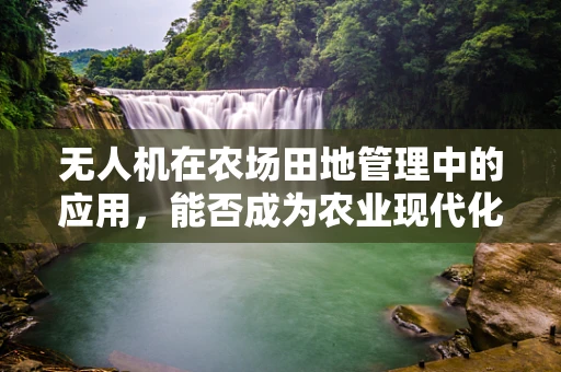 无人机在农场田地管理中的应用，能否成为农业现代化的新引擎？