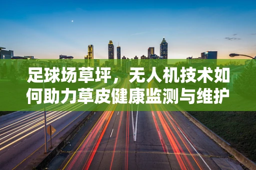 足球场草坪，无人机技术如何助力草皮健康监测与维护？