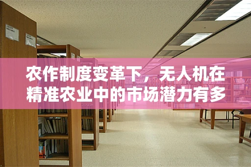 农作制度变革下，无人机在精准农业中的市场潜力有多大？