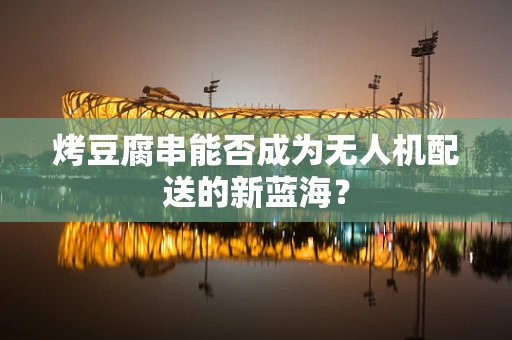 烤豆腐串能否成为无人机配送的新蓝海？