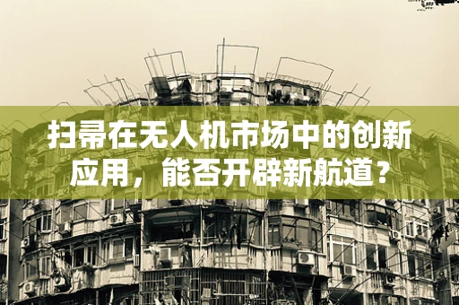 扫帚在无人机市场中的创新应用，能否开辟新航道？