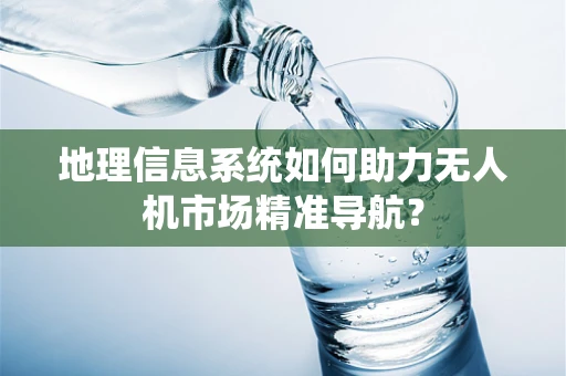 地理信息系统如何助力无人机市场精准导航？
