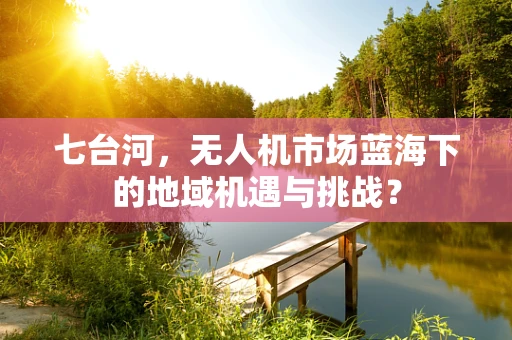 七台河，无人机市场蓝海下的地域机遇与挑战？