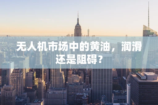 无人机市场中的黄油，润滑还是阻碍？