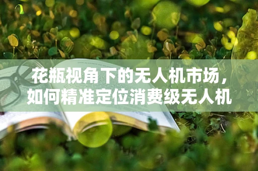 花瓶视角下的无人机市场，如何精准定位消费级无人机市场？