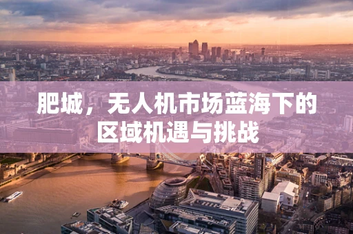 肥城，无人机市场蓝海下的区域机遇与挑战