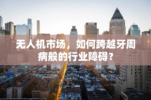 无人机市场，如何跨越牙周病般的行业障碍？