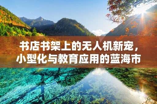 书店书架上的无人机新宠，小型化与教育应用的蓝海市场？
