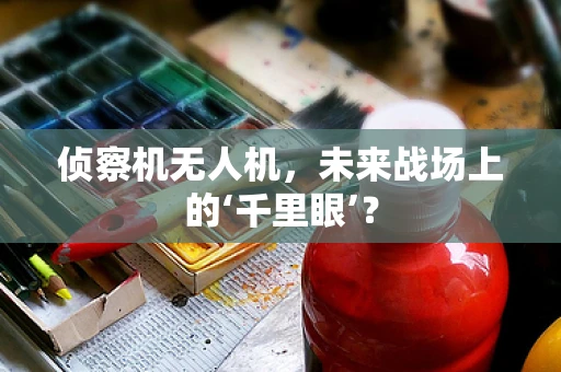 侦察机无人机，未来战场上的‘千里眼’？