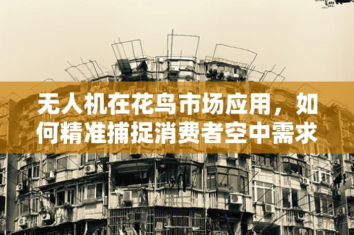 无人机在花鸟市场应用，如何精准捕捉消费者空中需求？