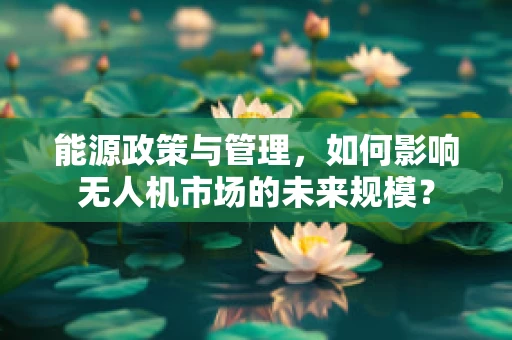 能源政策与管理，如何影响无人机市场的未来规模？