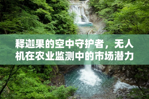 释迦果的空中守护者，无人机在农业监测中的市场潜力有多大？