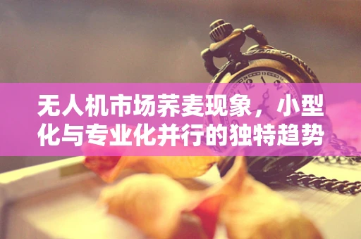 无人机市场荞麦现象，小型化与专业化并行的独特趋势